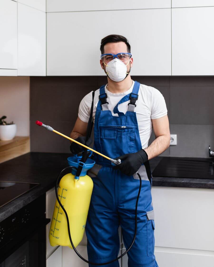 Pest Control Services in Lucknow