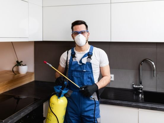 best pest control services in Lucknow