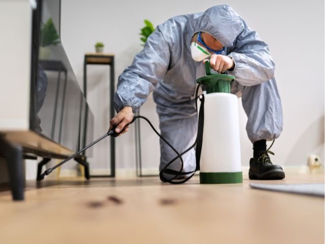 Pest Control Services In Lucknow