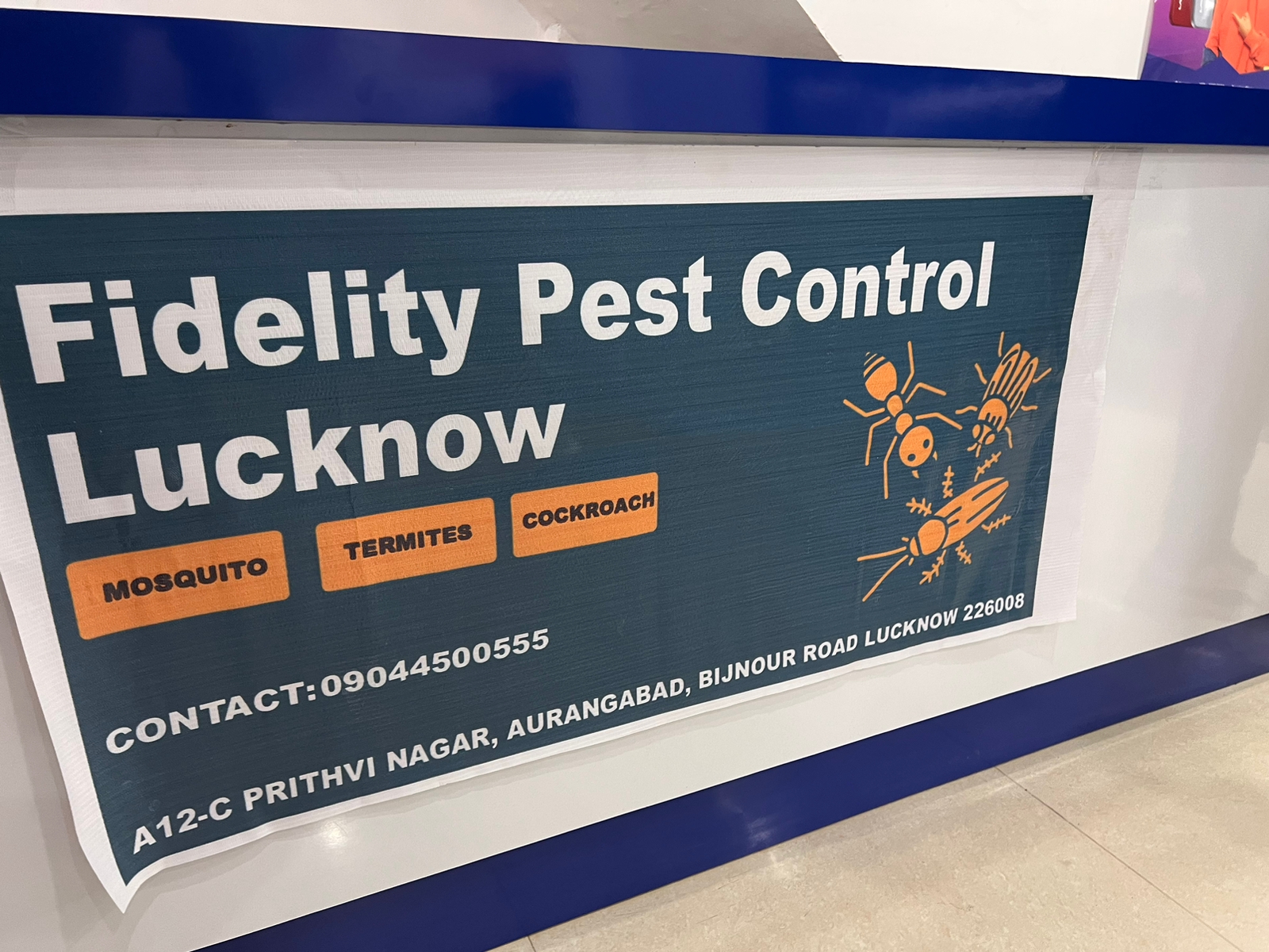 Pest-control-in-Lucknow